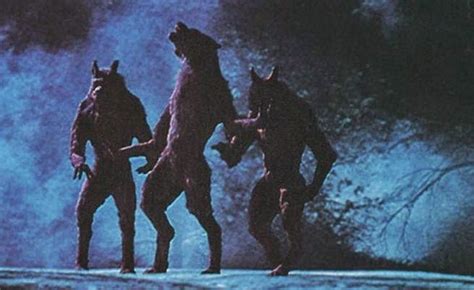 The Werewolf Cast in Folklore: A Symbol of Transformation and Power